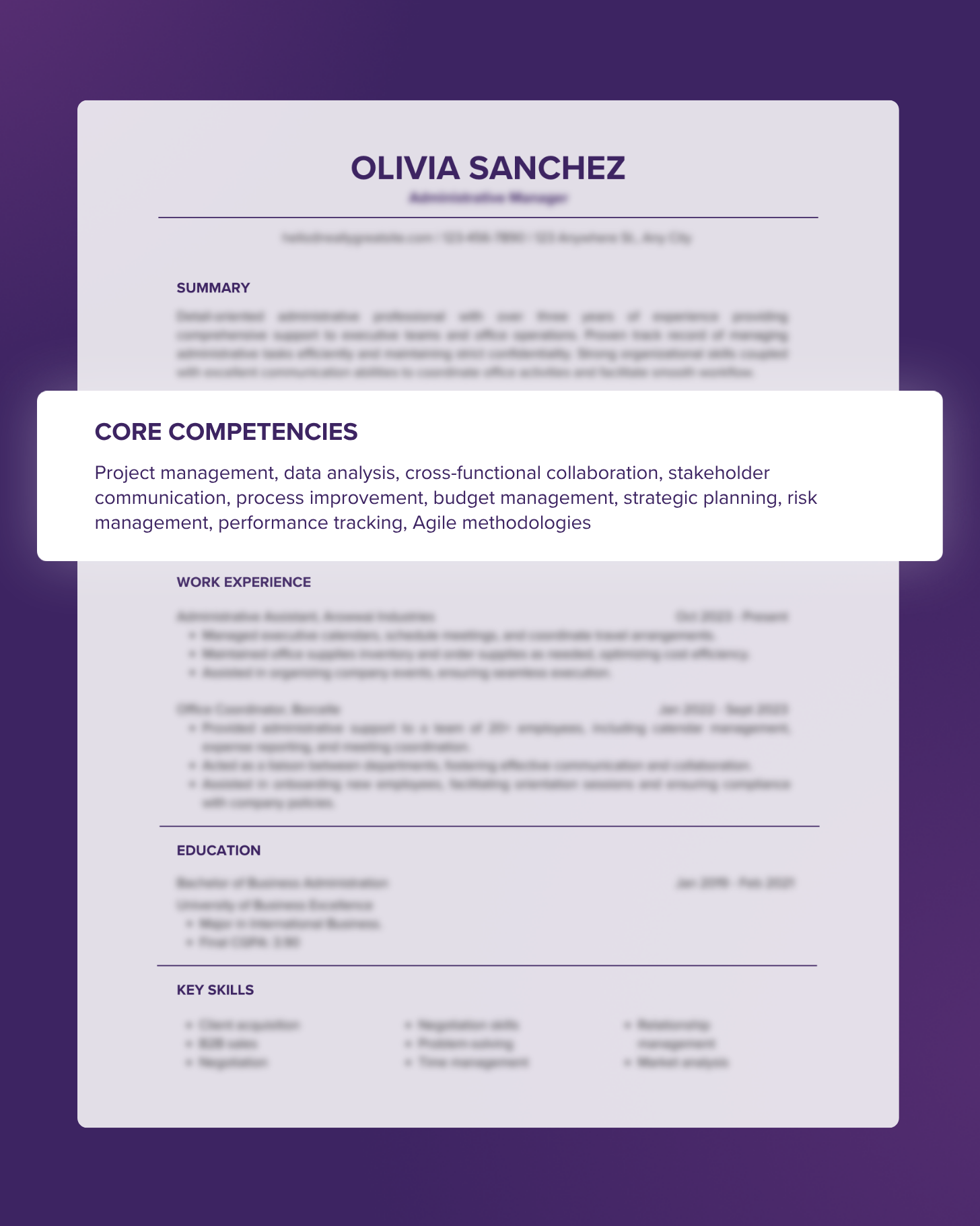 Resume mockup featuring "Core Competencies" positioned directly under the professional summary in a one-column layout. The section highlights a block of text containing various applicant skills and strengths in a comma-separated paragraph format.