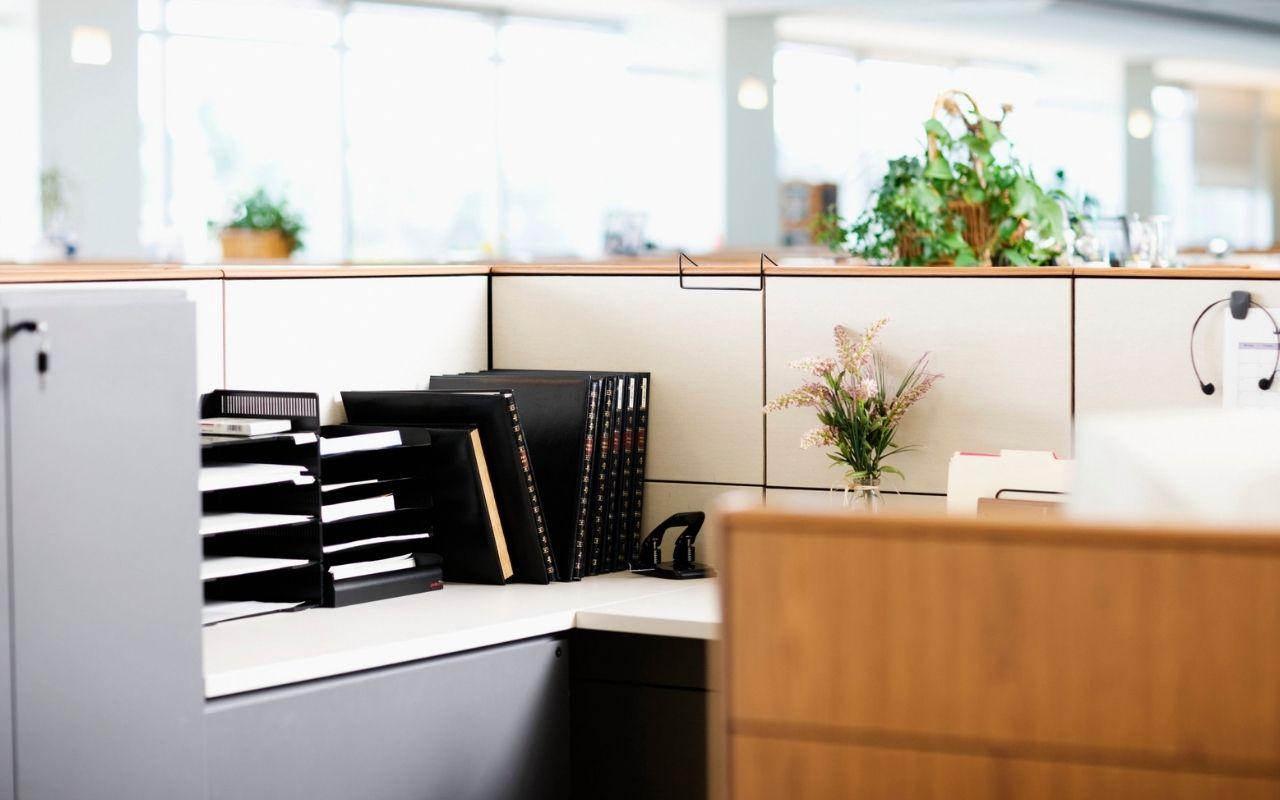 5 Items You Should Never Put in Your Cubicle
