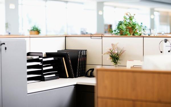 5 Items You Should Never Put in Your Cubicle